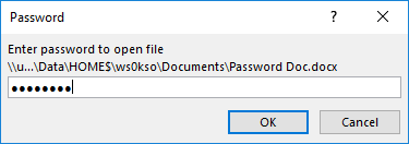 Opening a password protected file